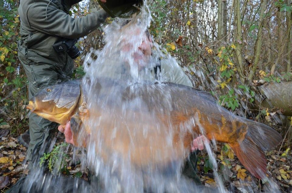 dupa net adunate - 556327419905921412049427522272n.jpg